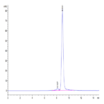 Biotinylated Human HLA-A*02:01&B2M&LMP2 (CLGGLLTMV) Monomer Protein BP004503 Syd Labs