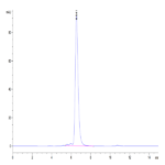 Human HLA-A*02
