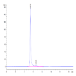 Human HLA-A*02:01&B2M&Survivin (LMLGEFLKL) Tetramer Protein BP004268 Syd Labs