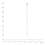 Chimeric HLA-A*02:01 (mα3) &B2M&LMP2 (CLGGLLTMV) Monomer Protein BP004664 Syd Labs