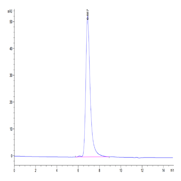 Chimeric HLA-A*02