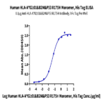 Human HLA-A*02:01&B2M&P53 R175H (HMTEVVRHC) Monomer Protein BP004505 Syd Labs