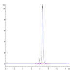 Human HLA-A*02