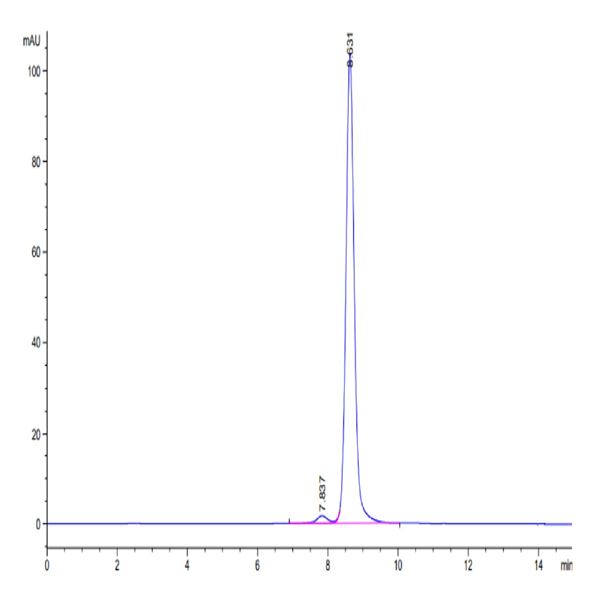 Human HLA-A*02