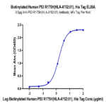 Biotinylated Human HLA-A*02:01&B2M&P53 R175H (HMTEVVRHC) Monomer Protein BP005457 Syd Labs