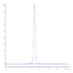 Human HLA-A*02