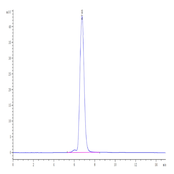 Human HLA-A*02