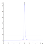 Human HLA-A*02:01&B2M&P53 WT (HMTEVVRRC) Tetramer Protein BP004215 Syd Labs