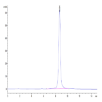 Human HLA-A*03