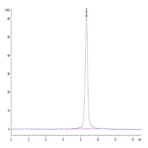 Human HLA-A*03