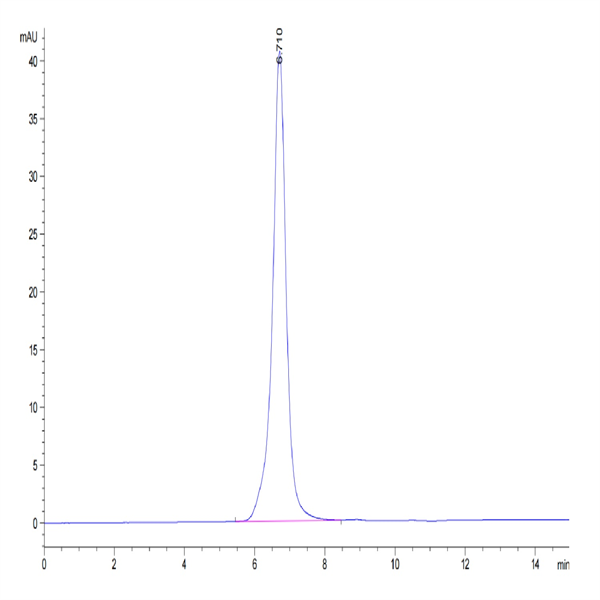 Human HLA-A*03
