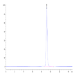 Biotinylated Human Peptide Ready HLA-A*11:01&B2M Monomer Protein BP003301 Syd Labs