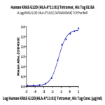Human HLA-A*11:01&B2M&KRAS G12D (VVVGADGVGK) Tetramer Protein BP004200 Syd Labs