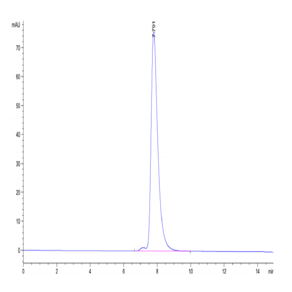 Human HLA-A*11