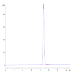Human HLA-A*11:01&B2M&KRAS G12V (VVVGAVGVGK) Monomer Protein BP004357 Syd Labs