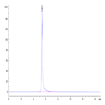 Human HLA-A*11:01&B2M&KRAS G12V (VVVGAVGVGK) Tetramer Protein BP004270 Syd Labs