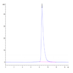 Human HLA-A*11:01&B2M&KRAS G12V (VVGAVGVGK) Monomer Protein BP004062 Syd Labs