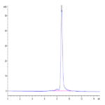 Biotinylated Human HLA-A*11:01&B2M&KRAS G12V (VVGAVGVGK) Monomer Protein BP004322 Syd Labs