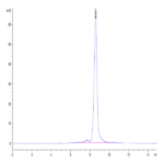 Human HLA-A*03:01&B2M&KRAS WT (VVVGAGGVGK) Monomer Protein BP004226 Syd Labs