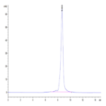Biotinylated Human HLA-A*03:01&B2M&KRAS WT (VVVGAGGVGK) Monomer Protein BP004225 Syd Labs