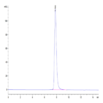 Human HLA-A*03:01&B2M&KRAS WT (VVVGAGGVGK) Tetramer Protein BP004224 Syd Labs