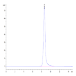 Biotinylated Human HLA-A*02:01&B2M&HPV16 E7 (YMLDLQPET) Monomer Protein BP004138 Syd Labs
