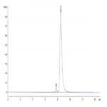 Human HLA-A*01:01&B2M&CT83 (NTDNNLAVY) Monomer Protein BP004101 Syd Labs