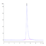 Human HLA-A*01:01&B2M&DSG3 (YTDNWLAVY) Monomer Protein BP003935 Syd Labs
