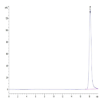 Human HLA-A*11:01&B2M&KRAS WT (VVVGAGGVGK) Monomer Protein BP004025 Syd Labs
