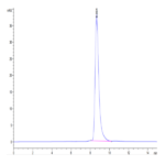 Biotinylated Human HLA-A*11:01&B2M&KRAS WT (VVVGAGGVGK) Monomer Protein BP003841 Syd Labs