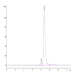 Human HLA-A*11:01&B2M&KRAS WT (VVVGAGGVGK) Tetramer Protein BP004027 Syd Labs