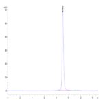 Biotinylated Human Peptide Ready HLA-E*01:03&B2M Monomer Protein BP003299 Syd Labs