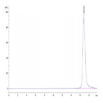 Human HLA-A*24:02&B2M&Survivin 2B (AYACNTSTL) Monomer Protein BP004022 Syd Labs