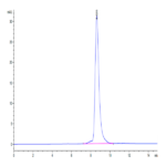 Biotinylated Human HLA-A*24:02&B2M&Survivin 2B (AYACNTSTL) Monomer Protein BP003846 Syd Labs