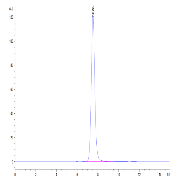 Human HLA-A*02