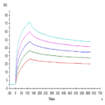 Human HLA-A*02:01&B2M&WT-1 (RMFPNAPYL) Tetramer Protein BP005768 Syd Labs