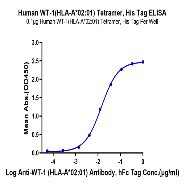 Human HLA-A*02