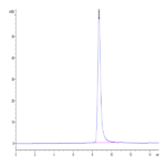 Biotinylated Human HLA-A*02:03&B2M&AFP (FMNKFIYEI) Monomer Protein BP003893 Syd Labs