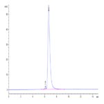 Human HLA-A*02:03&B2M&AFP (FMNKFIYEI) Tetramer Protein BP003892 Syd Labs