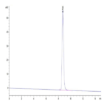Human HLA-A*24:02&B2M&GP100 Intron 4 (VYFFLPDHL) Monomer Protein BP003797 Syd Labs