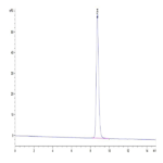 Human HLA-A*24:02&B2M&MAGE-A3 (IMPKAGLLI) Monomer Protein BP003795 Syd Labs