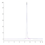 HLA-A*02:01&B2M&HPV 16 E6 (KLPQLCTEL) Monomer Protein BP003631 Syd Labs
