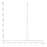 Human HLA-A*02:01&B2M&MAGE-A4 or MAGE-A8 (KVLEHVVRV) Monomer Protein BP003699 Syd Labs
