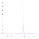 Human HLA-C 03:04&B2M&KRAS G12D (GADGVGKSAL) Monomer Protein BP003478 Syd Labs