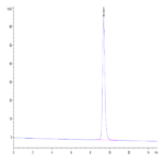 Biotinylated Human HLA-C*03:04&B2M&KRAS G12D (GADGVGKSAL) Monomer Protein BP003477 Syd Labs