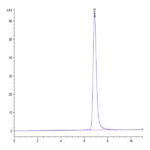Human HLA-C*03:04&B2M&KRAS G12D (GADGVGKSAL) Tetramer Protein BP003565 Syd Labs
