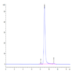 Human HLA-A*11:01&B2M&KRAS G12C (VVVGACGVGK) Monomer Protein BP003604 Syd Labs