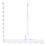Biotinylated Human HLA-A*11:01&B2M&KRAS G12C (VVVGACGVGK) Monomer Protein BP003602 Syd Labs