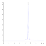 Human Peptide Ready HLA-A*02:01&B2M Monomer Protein BP003298 Syd Labs