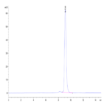 Biotinylated Human Peptide Ready HLA-A*02:01&B2M Monomer Protein BP003297 Syd Labs